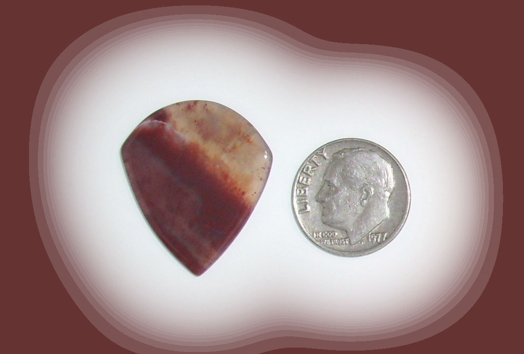 JZ18101 Petrified Wood