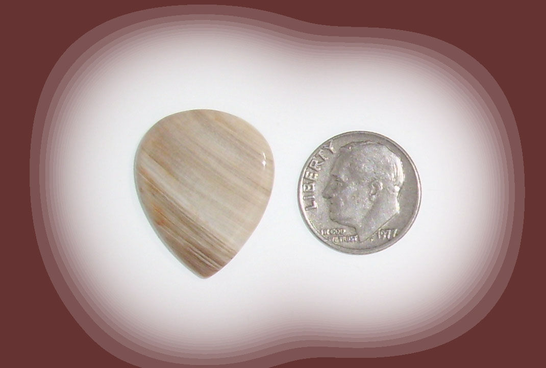 JZ18128 Petrified Wood