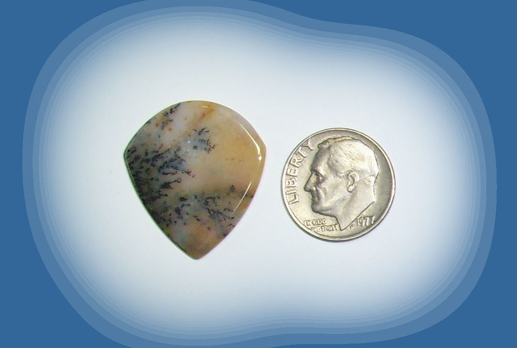 JZ38011 Snake River Agate