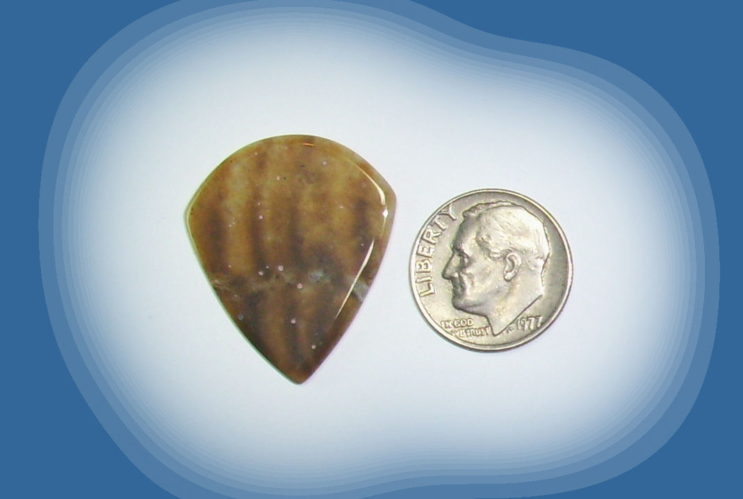 JZ38018 Snake River Agate