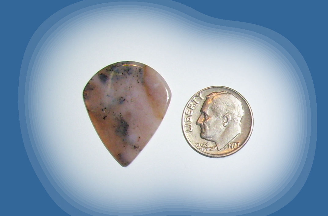 JZ38025 Snake River Agate