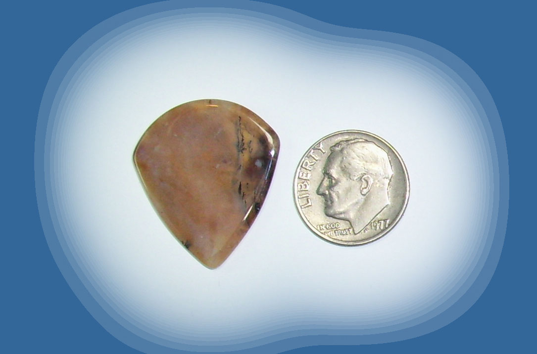 JZ38027 Snake River Agate