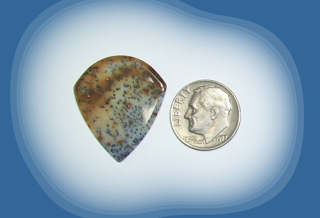 JZ38030 Snake River Agate