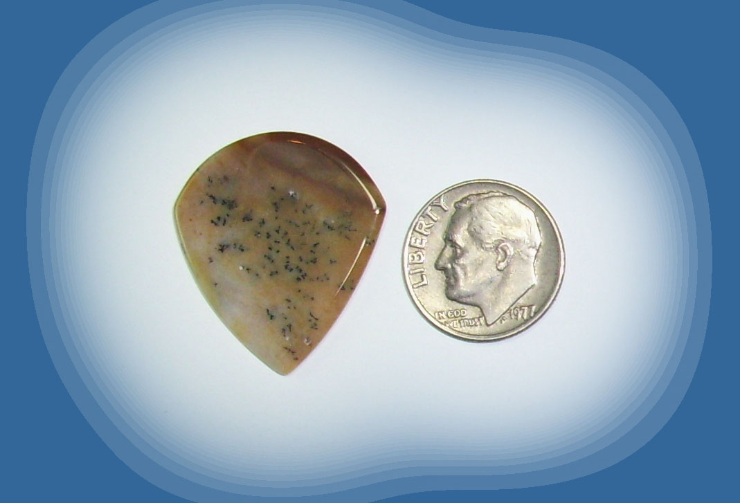 JZ38035 Snake River Agate