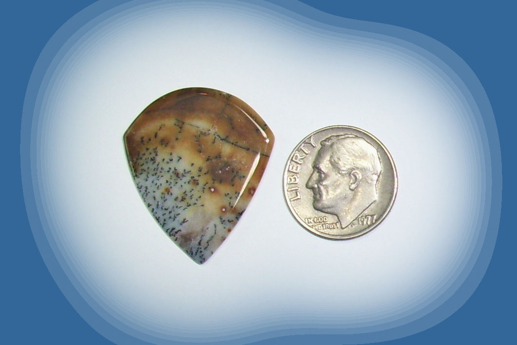 JZ38041 Snake River Agate