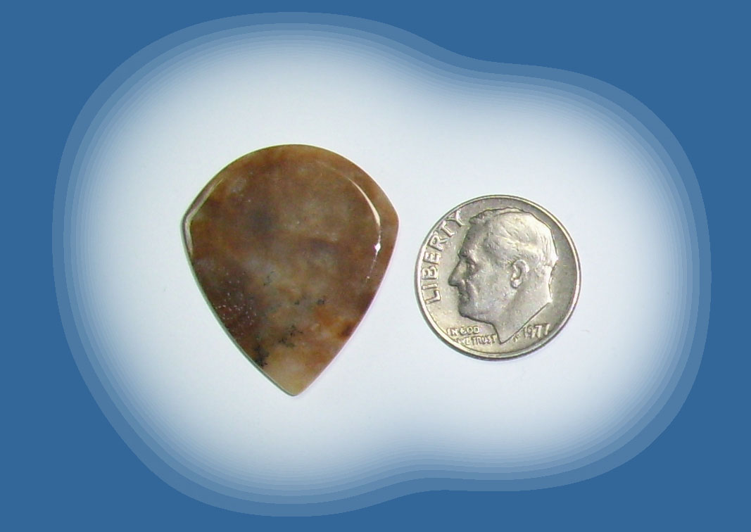 JZ38054 Snake River Agate