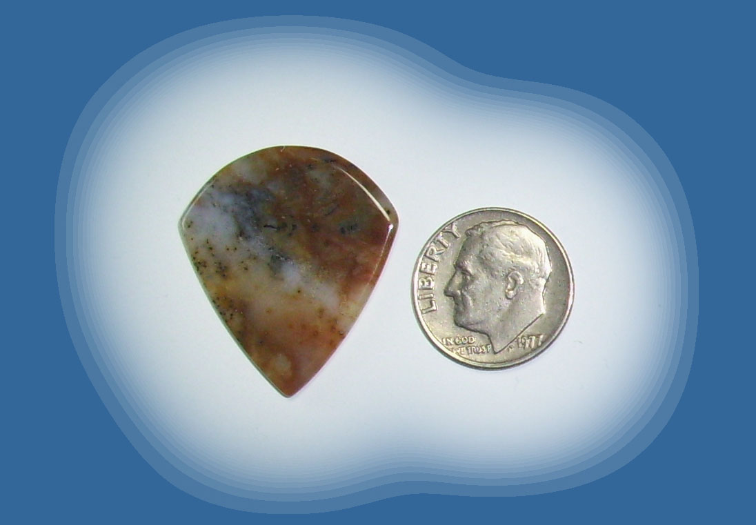 JZ38059 Snake River Agate