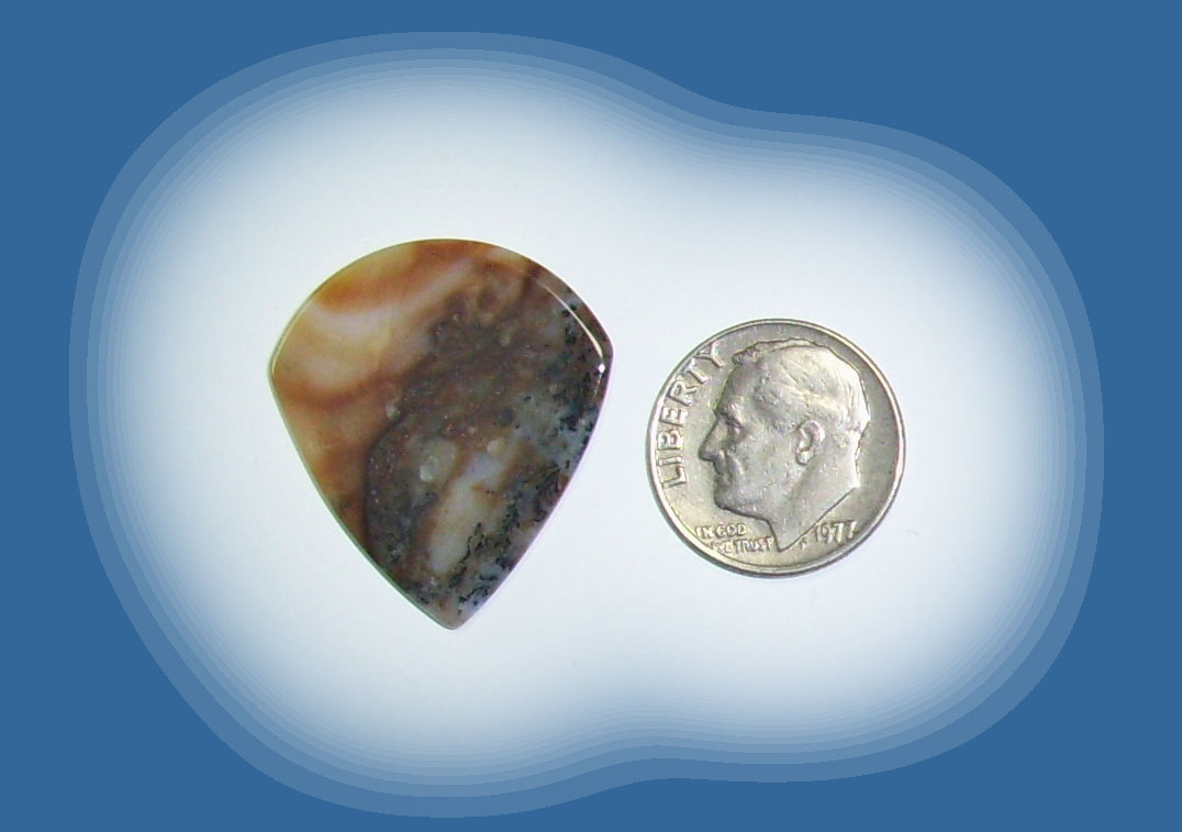 JZ38064 Snake River Agate