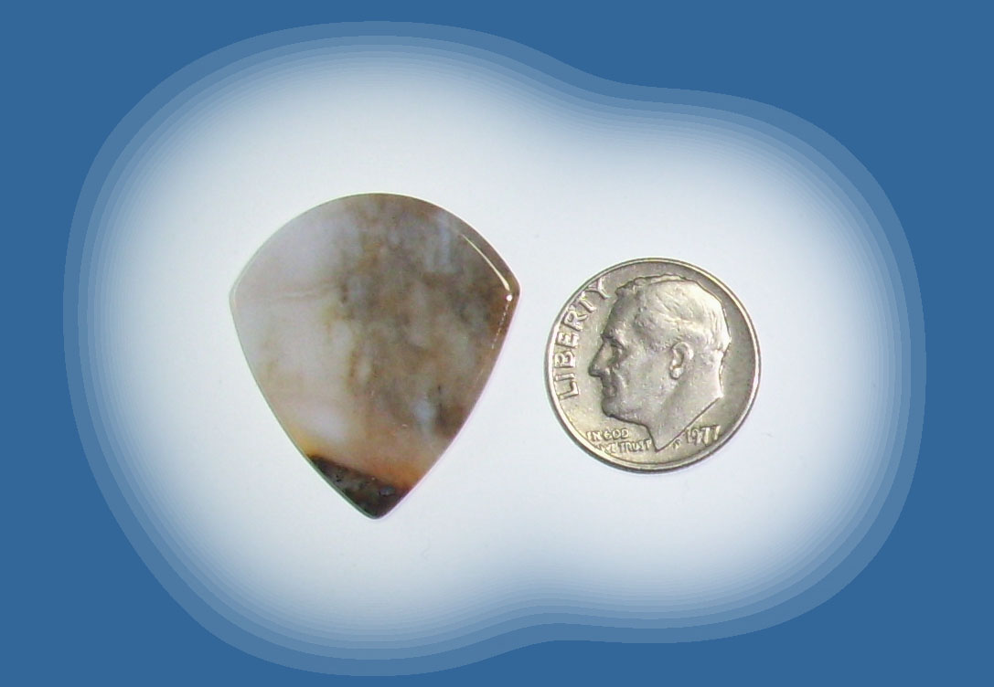 JZ38068 Snake River Agate