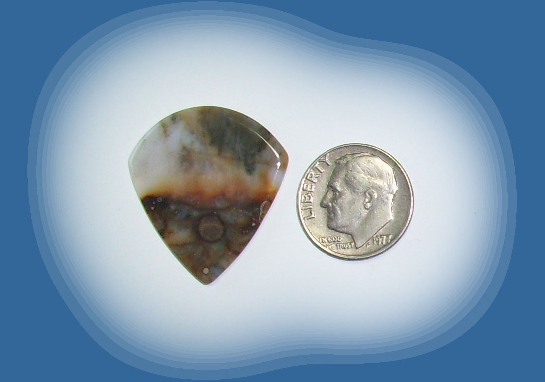 JZ38084 Snake River Agate