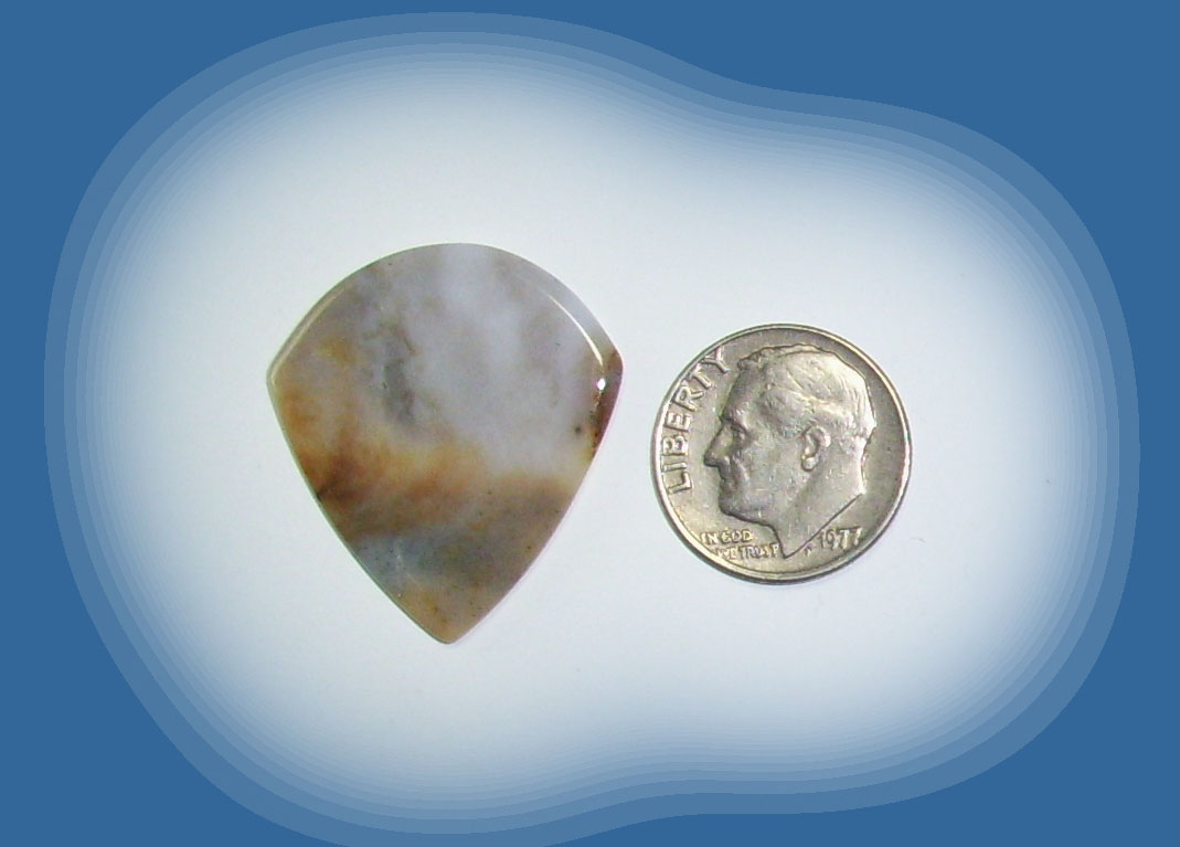 JZ38087 Snake River Agate