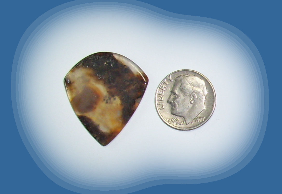 JZ38091 Snake River Agate