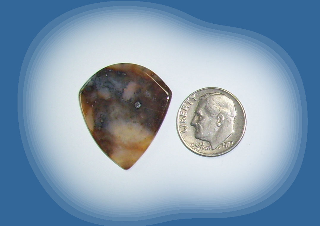 JZ38092 Snake River Agate