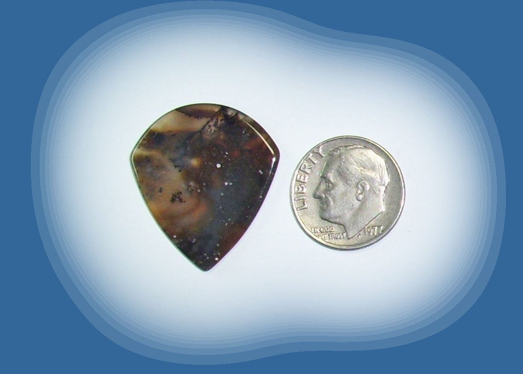 JZ38112 Snake River Agate