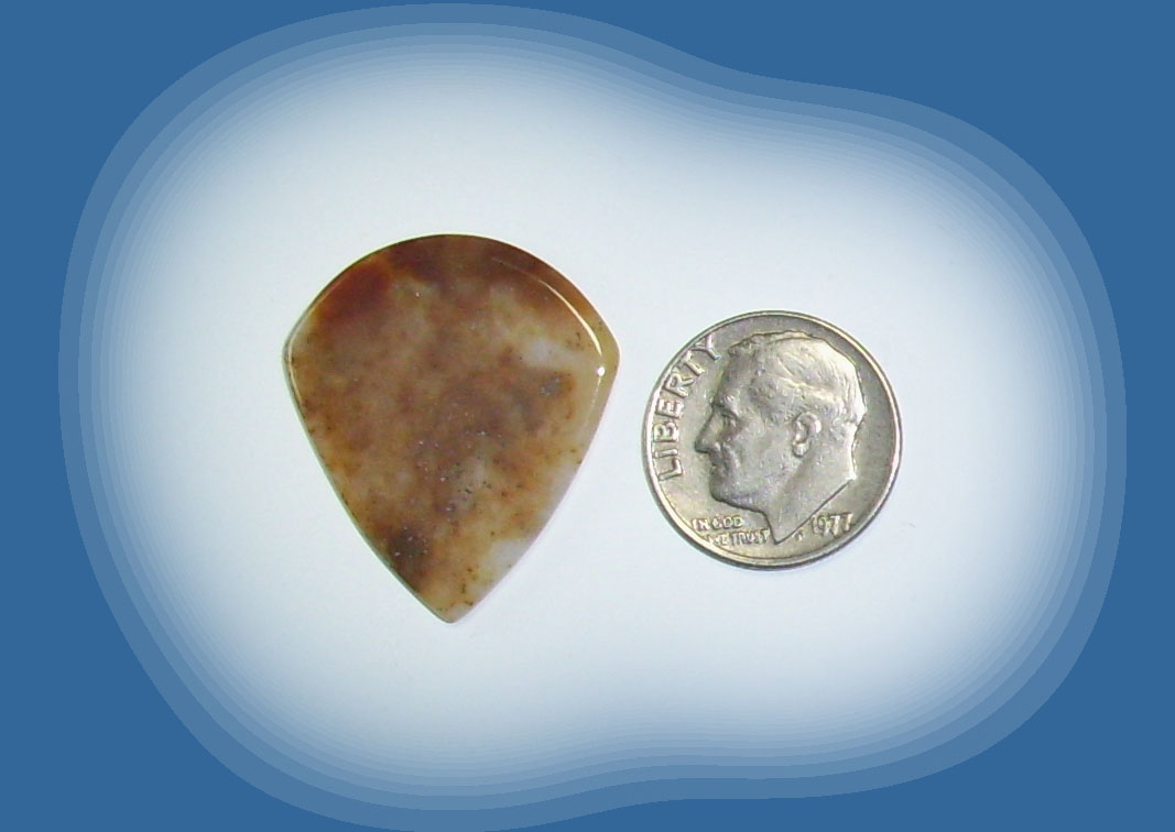 JZ38116 Snake River Agate