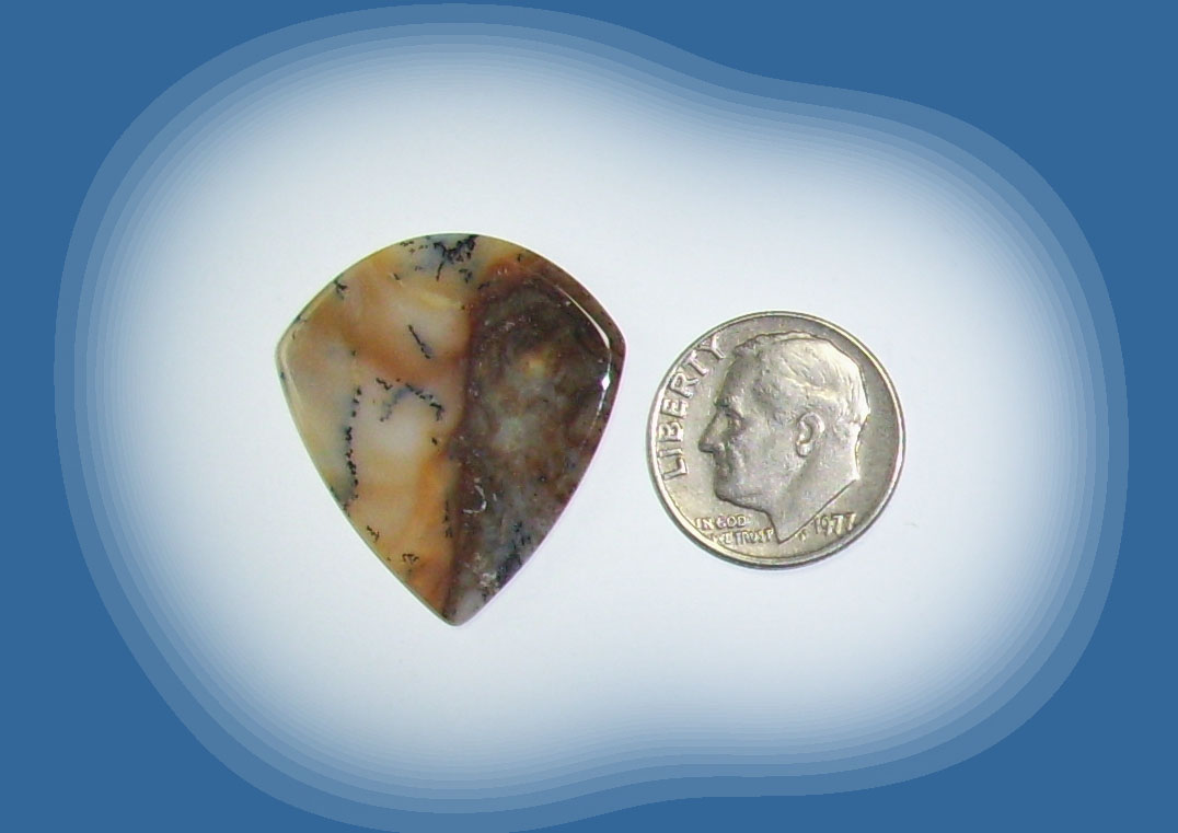 JZ38118 Snake River Agate