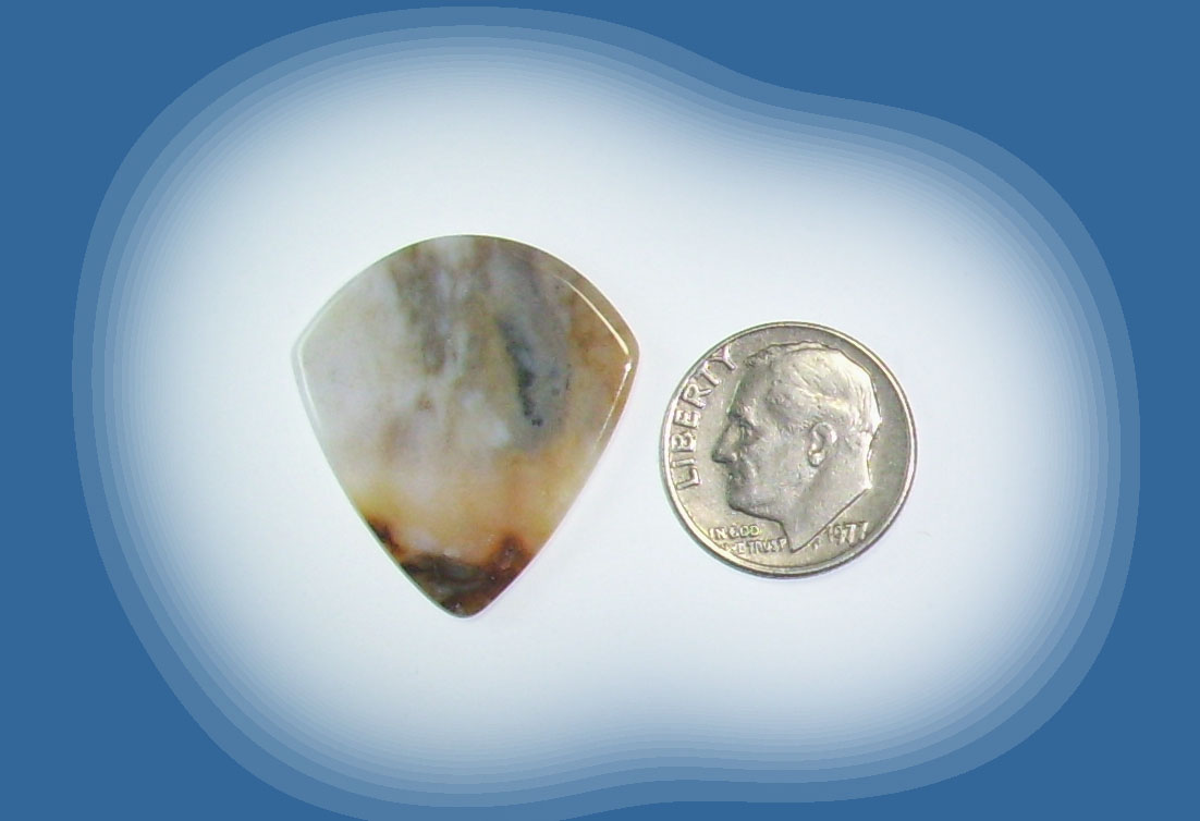 JZ38119 Snake River Agate