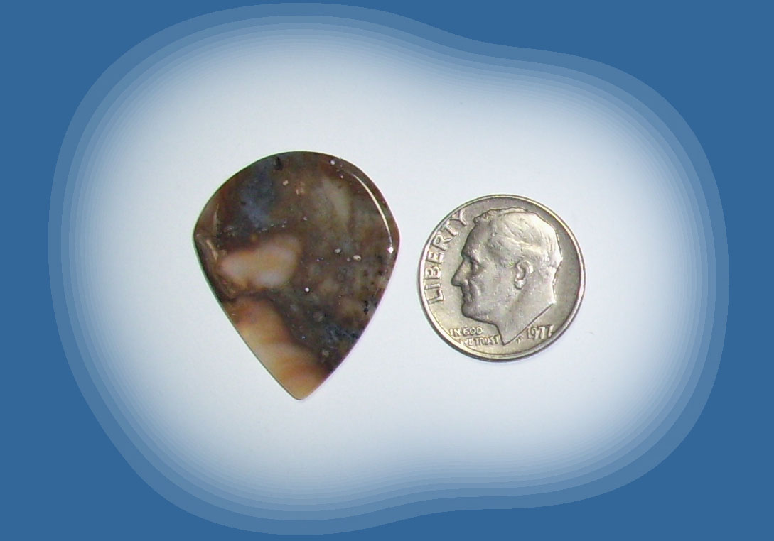 JZ38123 Snake River Agate