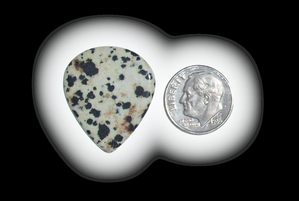 JZ6101 Dalmatian Jasper