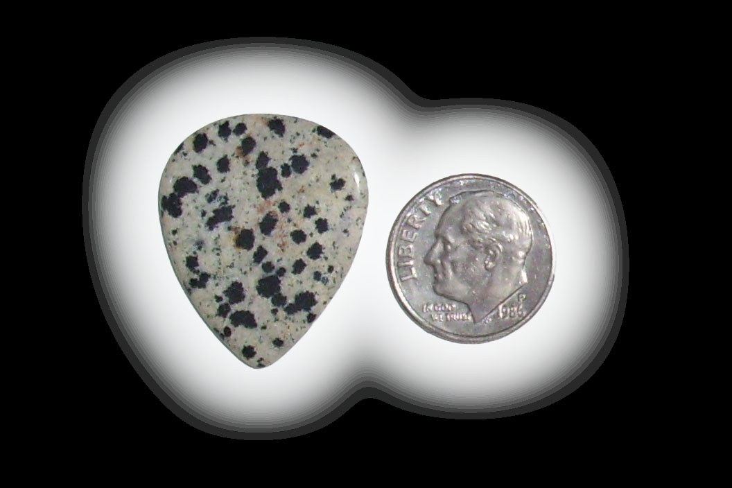 JZ6108 Dalmatian Jasper