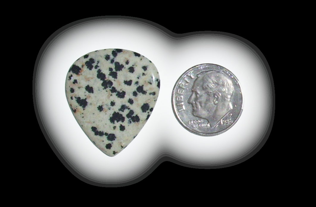 JZ6111 Dalmatian Jasper