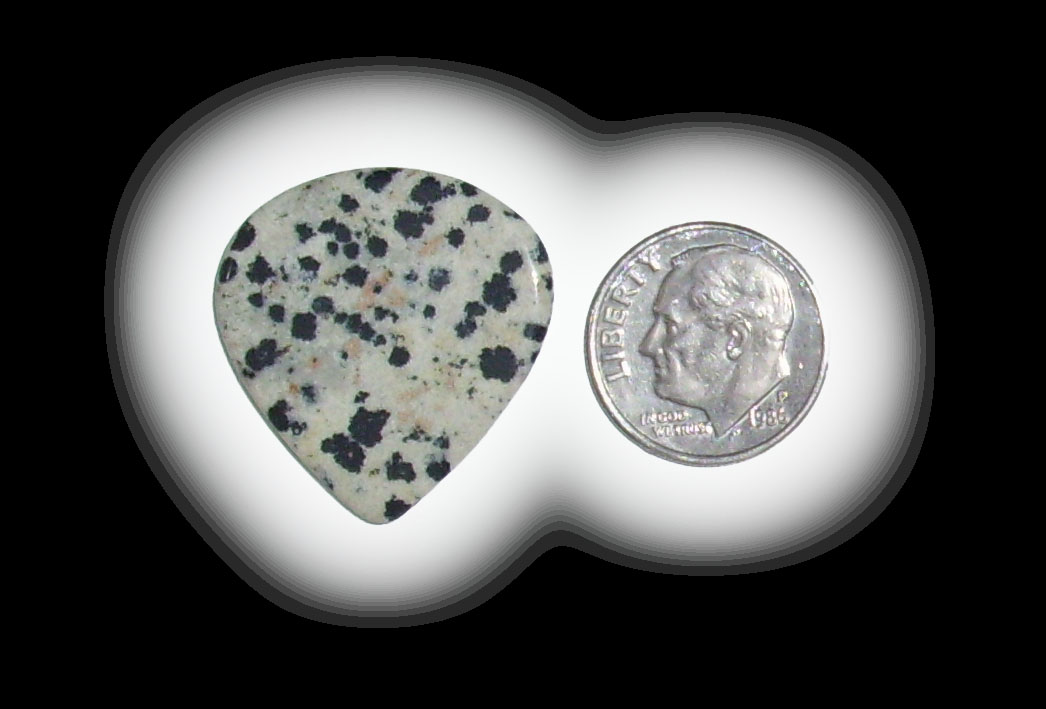 JZ6112 Dalmatian Jasper