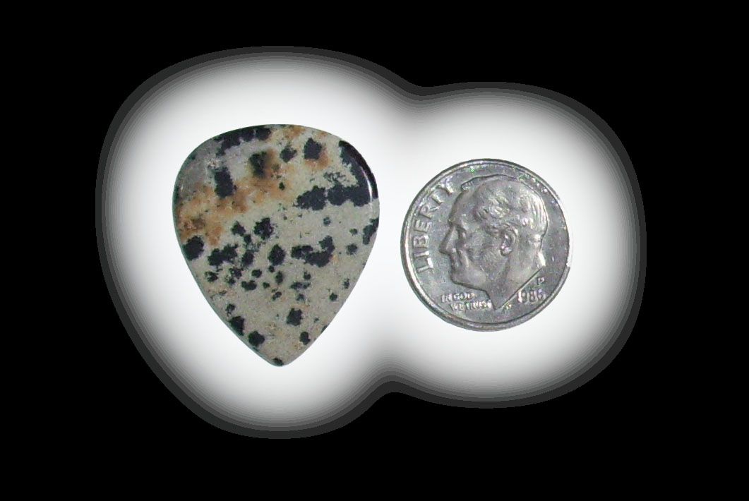 JZ6113 Dalmatian Jasper