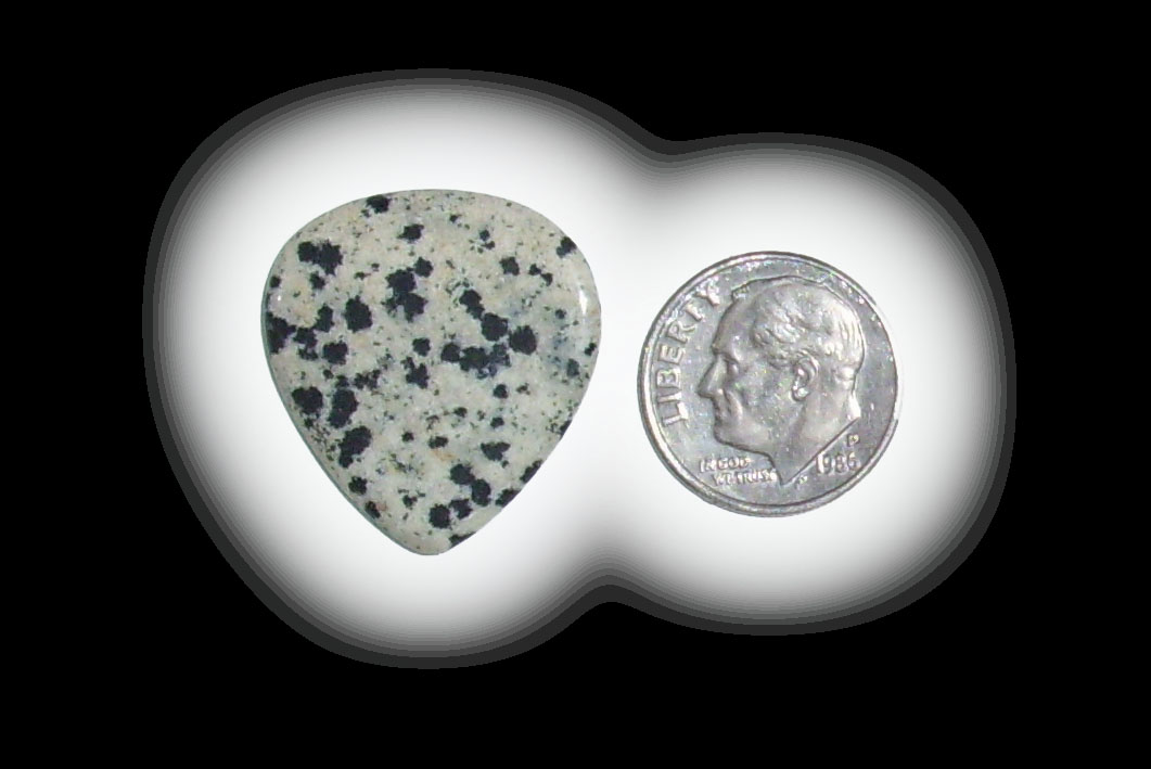 JZ6117 Dalmatian Jasper