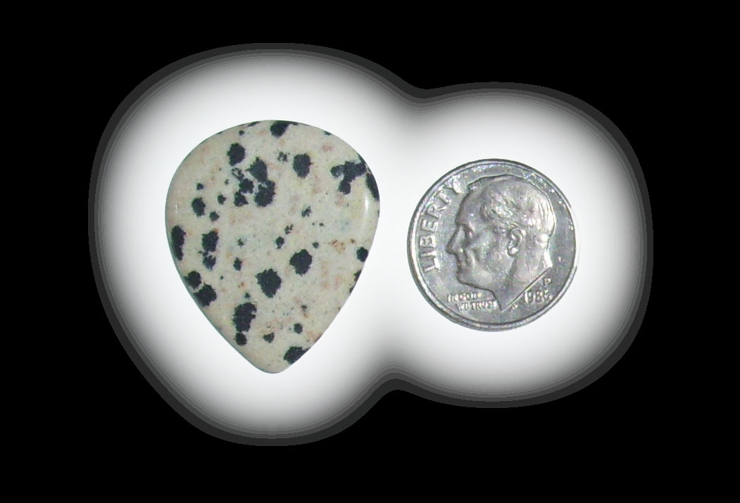 JZ6118 Dalmatian Jasper