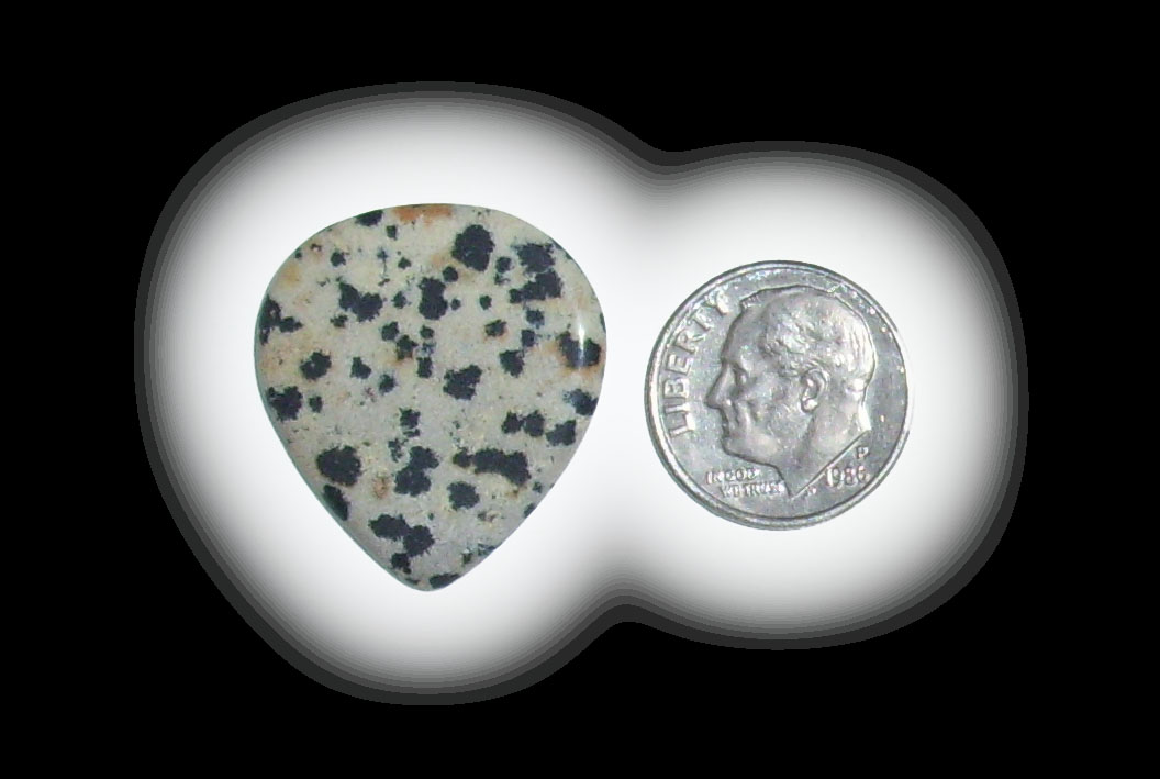 JZ6119 Dalmatian Jasper