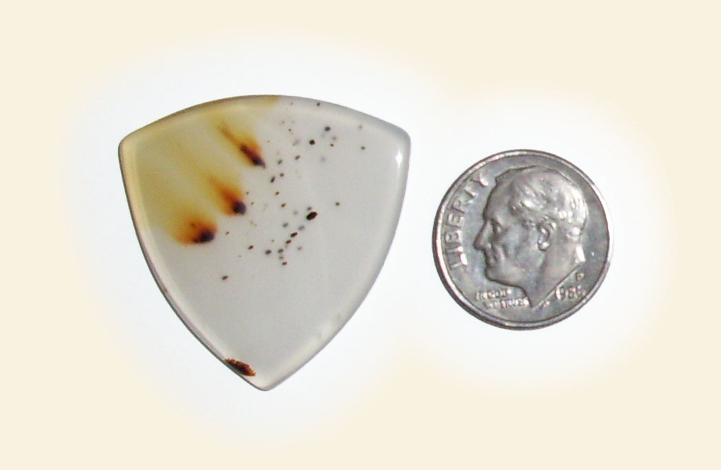 TA25011 Montana Agate