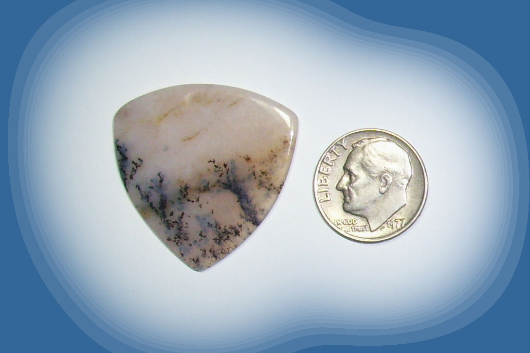 TA38002 Snake River Agate