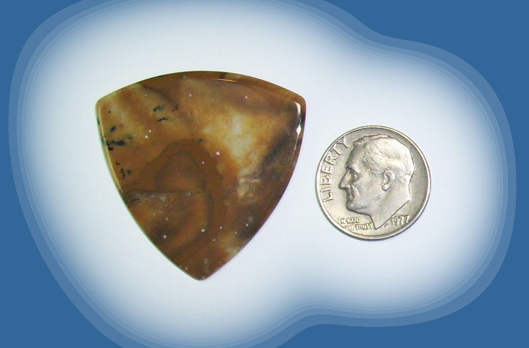 TA38003 Snake River Agate