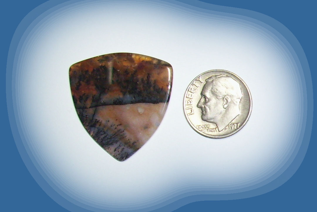 TA38005 Snake River Agate