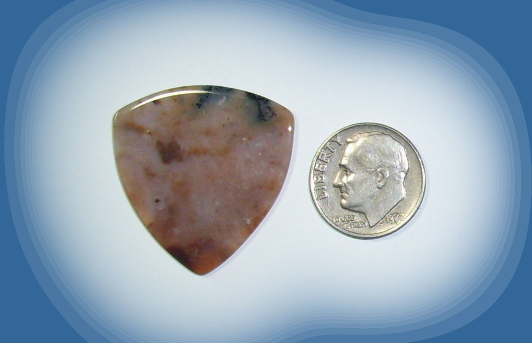 TA38011 Snake River Agate