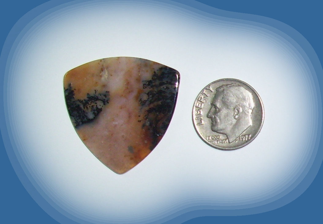 TA38013 Snake River Agate