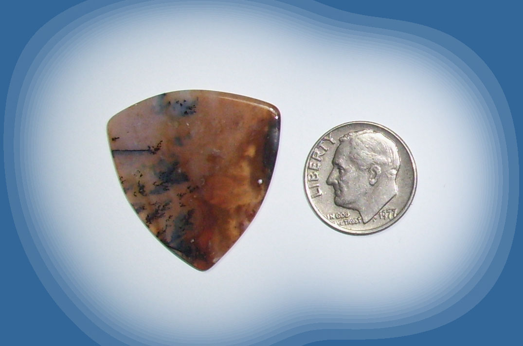 TA38020 Snake River Agate