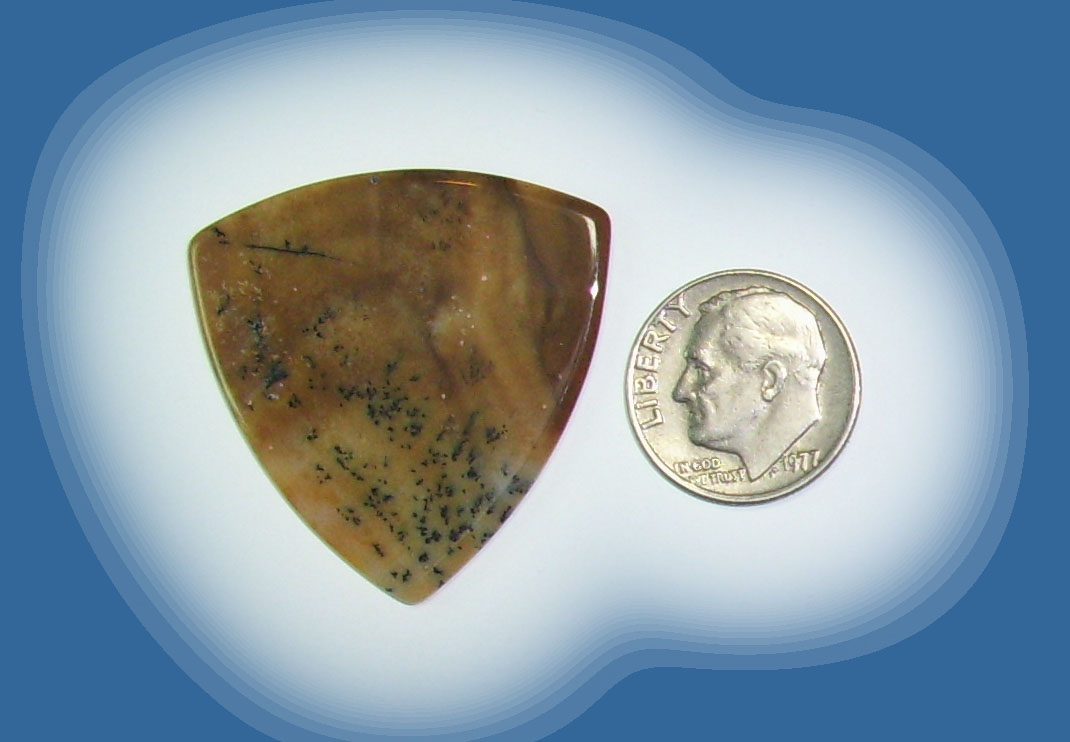 TA38033 Snake River Agate