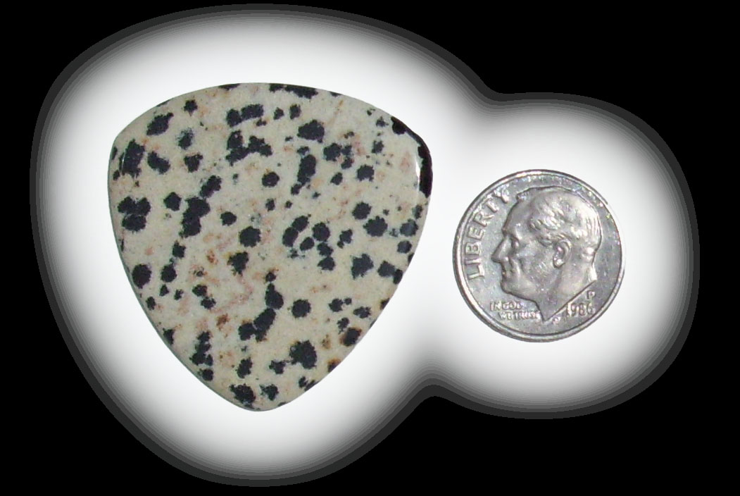 TA6109 Dalmatian Jasper