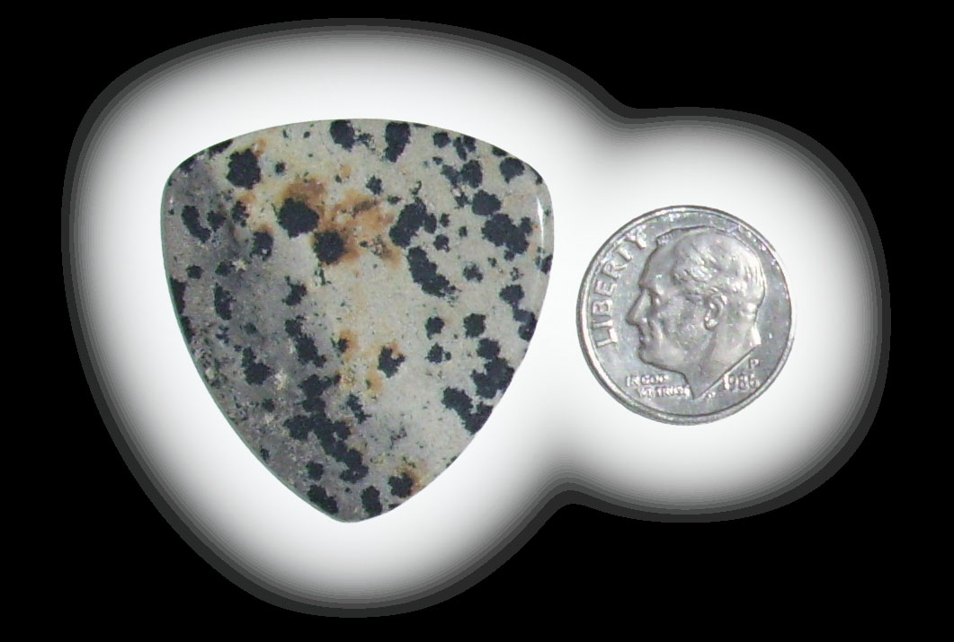 TA6110 Dalmatian Jasper