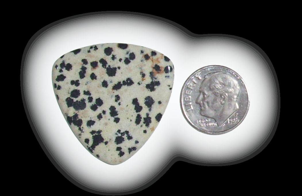 TA6112 Dalmatian Jasper