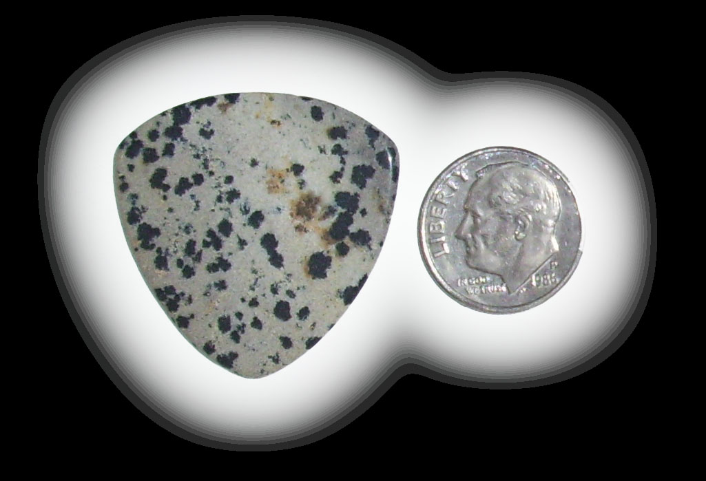 TA6113 Dalmatian Jasper