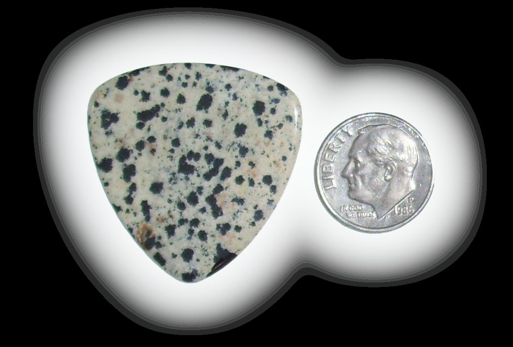 TA6116 Dalmatian Jasper