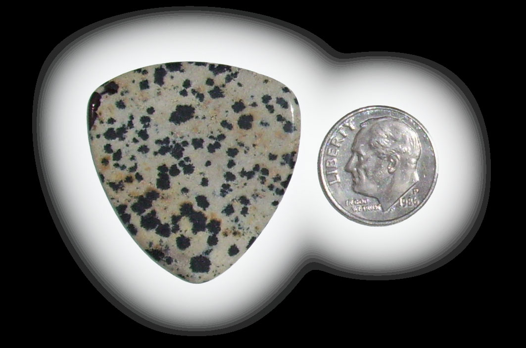 TA6119 Dalmatian Jasper