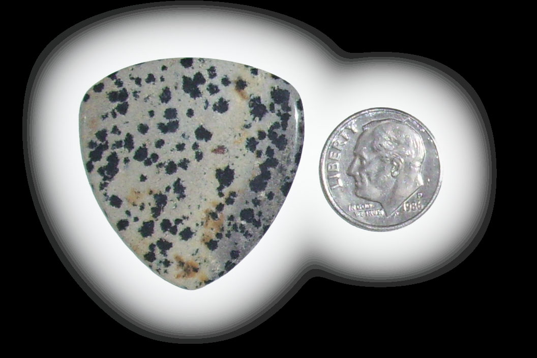 TA6120 Dalmatian Jasper