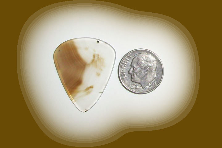 TD23018 Blackskin Agate