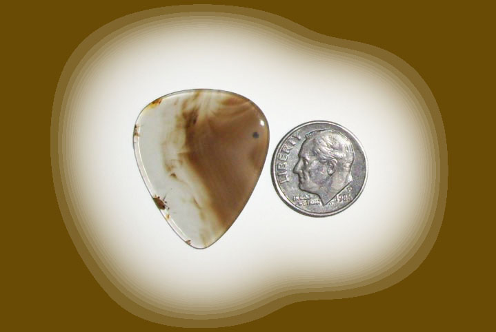 TD23024 Blackskin Agate