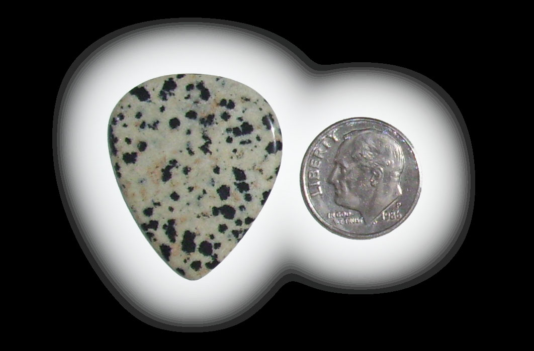 TD6101 Dalmatian Jasper