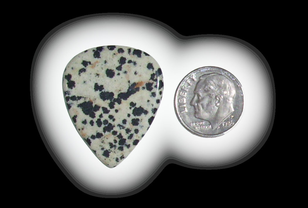 TD6110 Dalmatian Jasper