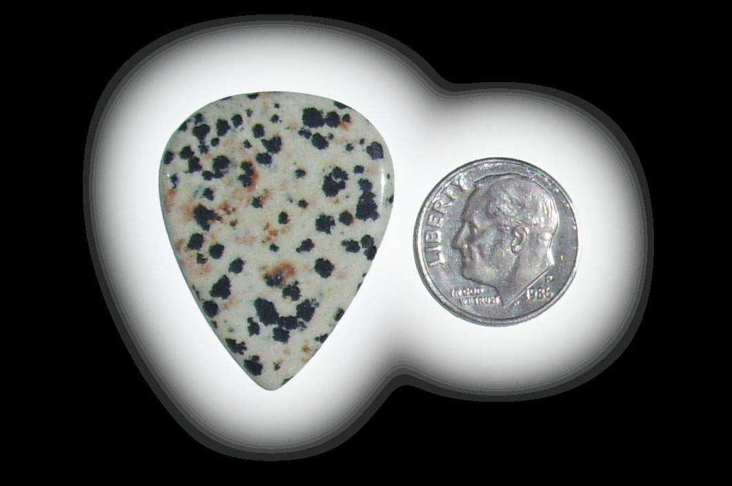 TD6115 Dalmatian Jasper